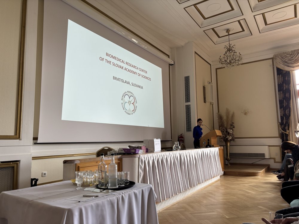 seminář